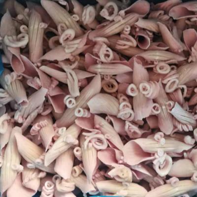 China NATURE's Wing Flower Cut Processing Frozen Squid for sale