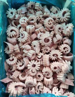 China NATURE Wing Gear Flower Cut Fresh Frozen Squid for sale