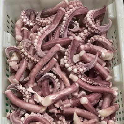 China NATURE's jelly squid tips cut from the sexual organ long sexual tentacle for sale