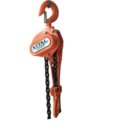 China Light hotels and flexible level crane lifting manual lever hoist crane, lever lifting crane for sale