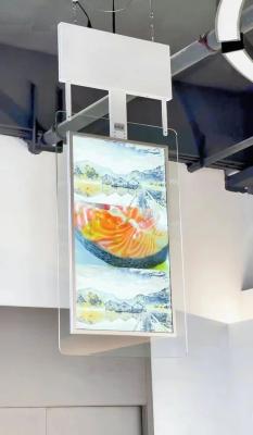 China 55 Inch Shop Window Digital Signage Display High Brightness LCD Screen Digital Signage for sale