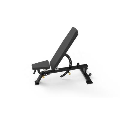 China Multi Modern Adjustable Weight Bench Press Bench Gym Equipment Fitness Bench Home Exercise DY-3003 for sale