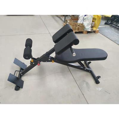 China Hot Selling Salon Gym Home Use Commercial Ab Back Extension Bench Roman Chair DY-3009 for sale