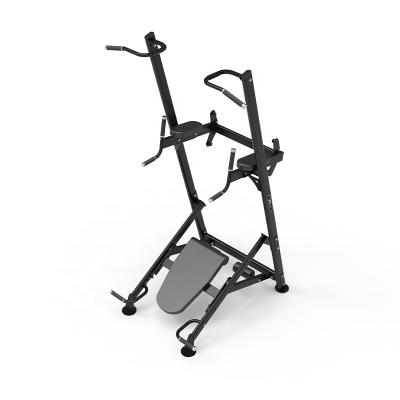 China Universal bodybuilding equipment multifunctional fitness station gym pull up power tower DY-3019B for sale