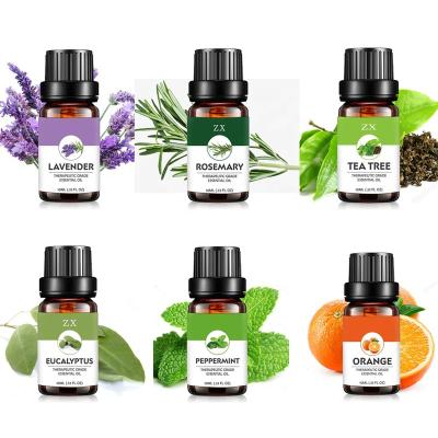 China Moisturizer Private Label Top 6 100% Natural Essential Oil Set For Essential Diffuser Oil Set OEM 10ml, 30ml, 60ml, 120ml for sale