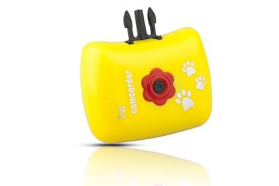 China Mini Pets Camera with LCD Eyeview 720P Action Camera For Animal Tracking Camcorder for sale