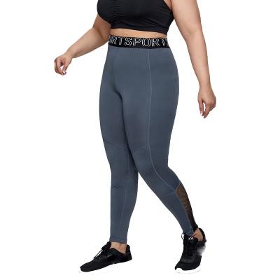 China LW DK791 INS Selling Gym Breathable Hot Waist Tights High Long Elastic Big Elastic Plus Size Mesh Leggings For Women for sale