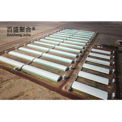 China Estructura de acero de caja de farrowing para la granja moderna hog house cobertizo de cerdo bodega de cerdo cote en venta