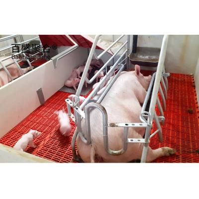 China Verzinkte Schweinezuchtgeräte Vorgefertigte Stahlrahmenhäuser für Schweinefarmstahl zu verkaufen