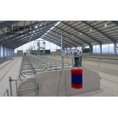 China Steel Structure Cowshed Dairy Farm Pig/Sheep/Goat Farm House Cow Shed with Aluminum Alloy Window for sale