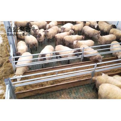 China Q235 Low Carbon Steel Heavy Pre Design Sheep/Cow Shed Steel Structure Farm Houses Commercial Chicken Houses for sale