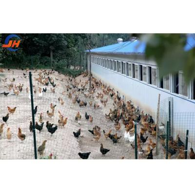 China Single Steel Sheet Roofing Wall Steel Structure Layer Chicken House for Poultry Shed for sale