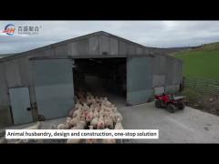 Steel Structure Livestock Shed