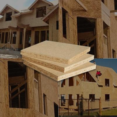 China Cheap Eco Friendly OSB Board 9mm 12mm 15mm 18mm Osb Board Chipboard From China Supplier for sale