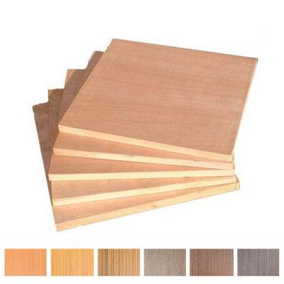 China According to your needs Vietnam veneer panels birch color E0 UV door plywood for double bed for sale