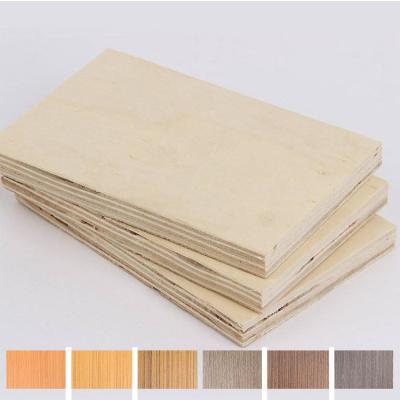 China According to your needs 3mm laser in Senegal 3/4 red oak Bent Chair Parts Laminated Plywood for Cabinets for sale