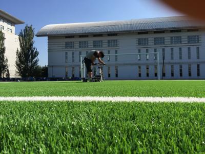 China Hoog - van de het Gras Synthetisch Voetbal van het dichtheids gazon Voetbal het Grasgras kunstmatige 55mm Te koop