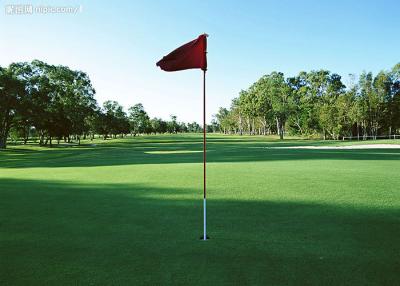 China Do relvado sintético artificial da grama do tênis/golfe dos bens 13mm resistência UV à venda