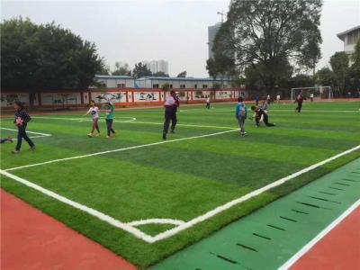 China Dauerhafter falscher Rasen-Spielplatz-Fußball-synthetisches Gras umweltfreundlich zu verkaufen