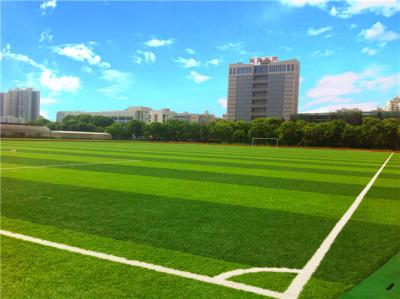 China Berufsspielplatz-synthetisches Gras, Spielplatz-synthetischer Rasen FIFA-Standard zu verkaufen