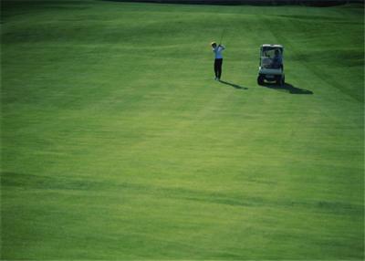 Chine Puttings greens extérieurs de golf à l'abrasion de résistance de golf d'herbe de maison artificielle élevée de tapis à vendre