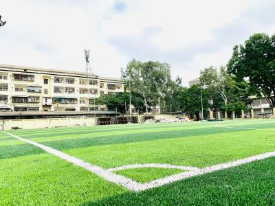 China 65mm Cesped Kunstmatig van het Grassynthet van de Grasvoetbal van het het Grasvoetbal Synthetisch het Tapijtgras Te koop