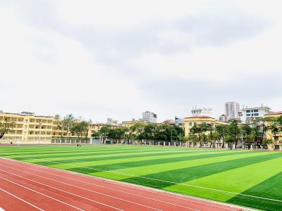 China Soccer Cesped Artificial Futbol Grass football field artificial turf For Football Ground for sale