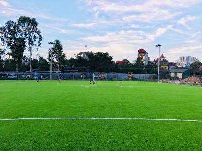 China Gazon Artificial De Fotbal En-Gros Artificial Grass Football Grass Synthetic Grass for sale