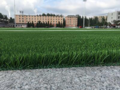 China Tecido suportando a grama Aritificial do relvado do futebol para o campo de futebol à venda