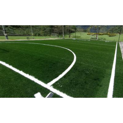 China El piso al aire libre Mat Sport Soccer Fake Grass reforzó 13000Detex en venta