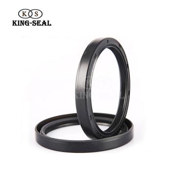 China Hot Oil Resistance 2021 National Rubber Oil Seal Tc Cross Reference 48x69x10 Truck Oil Seal Price for sale