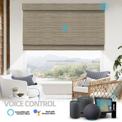 China Eco-Friendly Google Alexa Retrofit Horizontal Motorized For Velux Windows Smart Blind for sale