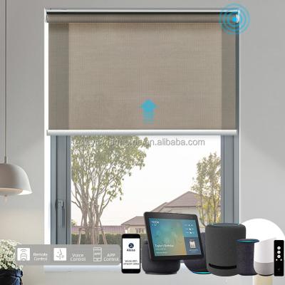 China Deyi Eco-Friendly Green Motorized Alexa Indoor Roller Blinds Shades Smart Curtain for sale