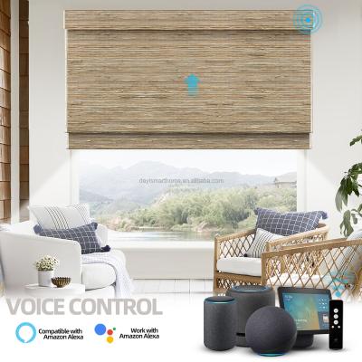 China Eco-friendly Google Alexa Roller Shade Motor Motorized Wifi Smart Shade for sale