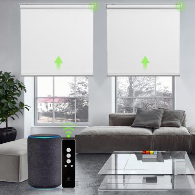 China Deyi eco-friendly smart tuya motor roller blind window shades for sale