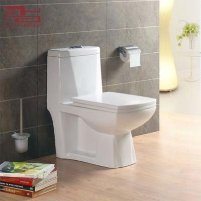 China Double-Flow Ceramic One-Piece Washdown Sanitary Toilet for sale