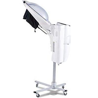 China Wholesale Professional Beauty Salon Equipment Ozone Hair Steamer for sale