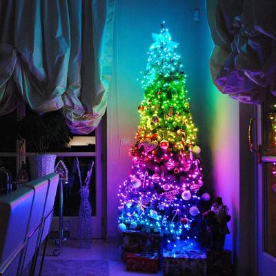 China Outdoor Decoration Christmas Tree Decoration LED Lights Smart Personalized String Lights Customized App Remote Control Lights for sale