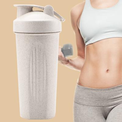 China Wheat Straw Sports Bottle Fitness Water Portable Viable Bottle 600ml Custom Color Logo Travel Shaker Bottles for sale