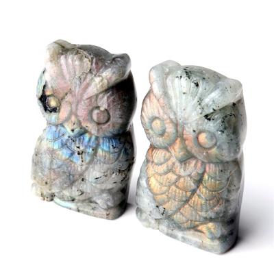 China China Wholesale Natural Hand Carved Labradorite Owl Carving Crystal Animal Craft for Decoration for sale