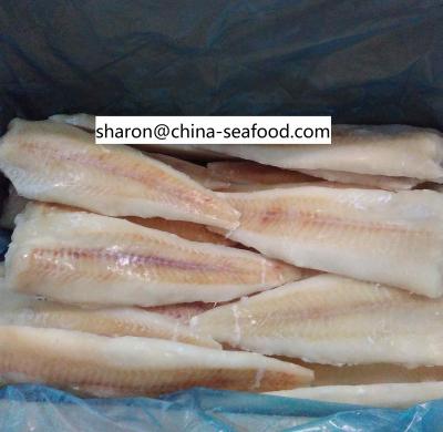 China FROZEN Frozen Alaska Pollock Fish Bandages 20% Skinless Boneless Luster 10kg/ctn for sale