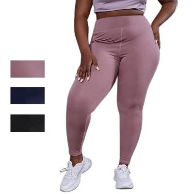 China SANFAN Breathable Extra High Butt Lifting Gaiters Waisted Tiking Tok Custom Athletic Stacked Women Plus Size for sale