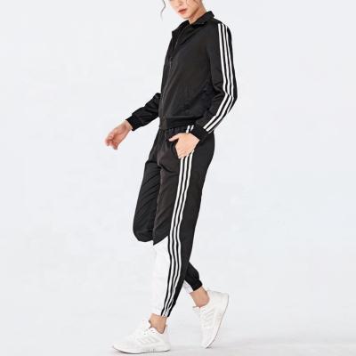 China Breathable Casual Zipper Stripped Gym Wear Ladies Tracksuits Pants 2 Pieces Adults Wholesale Yoga Jackets Women Fitness Clothing Factory for sale