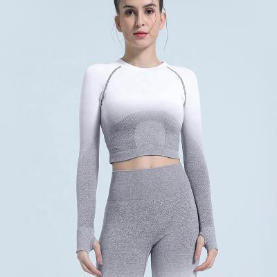 China Wholesale Breathable Seamless Crop Long Sleeve Thumb Notch Gym Wear Top Sports Tops Fitness Woman Workout Apparel Yoga Manufacturer for sale