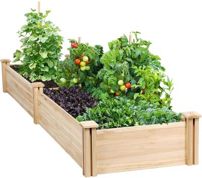 China Modern Outdoor Solid Wood Raised Vegetable Bed Wooden Elevated Planter Garden Kit Box for sale