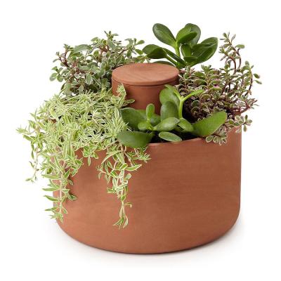 China 2021 Modern New Design Hot Sale Terracotta Self Watering Herb Pot Clay Succulent Planter for sale