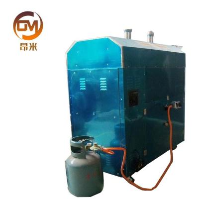 China Continuous Small Gas Snack Plant Commercial Continuous Small Gas Electric Ground Pine Cashew Nut Roasting Machine for sale