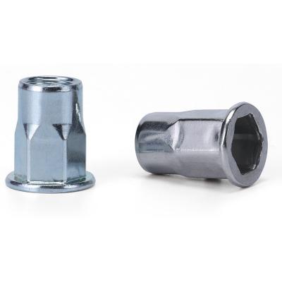 China Heavy industry zinc steel yellow plating rivet blind nut with different types for sale