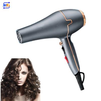 China Ionic Zkagile Women Gift Set Electric Hair Dryer Sharon Strong Wind Hairdryers Hair Processor and Dryer for sale