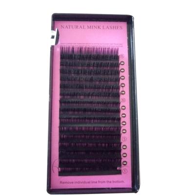 China Pro-Environment Synethetic Fiber Person 0.05 0.07 0.10 0.12 0.15 C/D Loop Private Label Eyelash Extension Glitter Lashes for sale